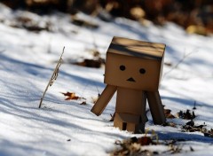  Objets Danbo powa !