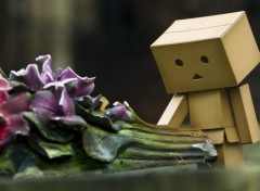  Objets Danbo powa !