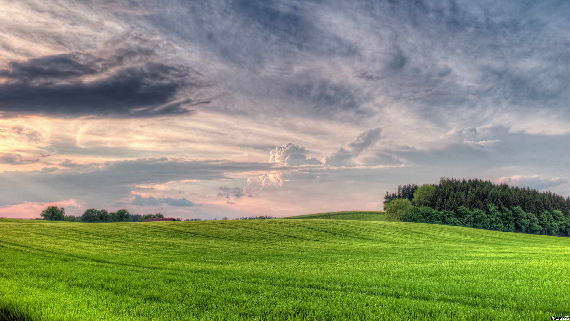 Fonds d'cran Nature Champs - Prairies 