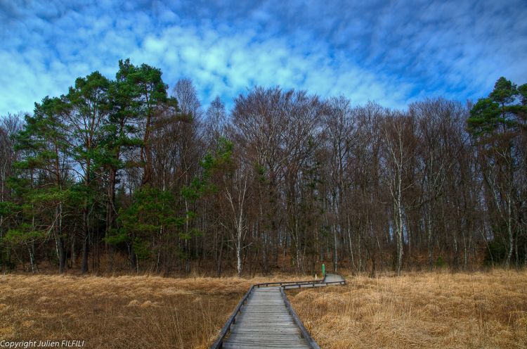 Wallpapers Nature Trees - Forests Paysage tang HDR 