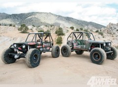  Voitures jeep cj et willys buggy