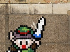  Jeux Vido LINK (zelda - place du bouffay  Nantes)