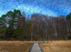  Nature Paysage tang HDR 