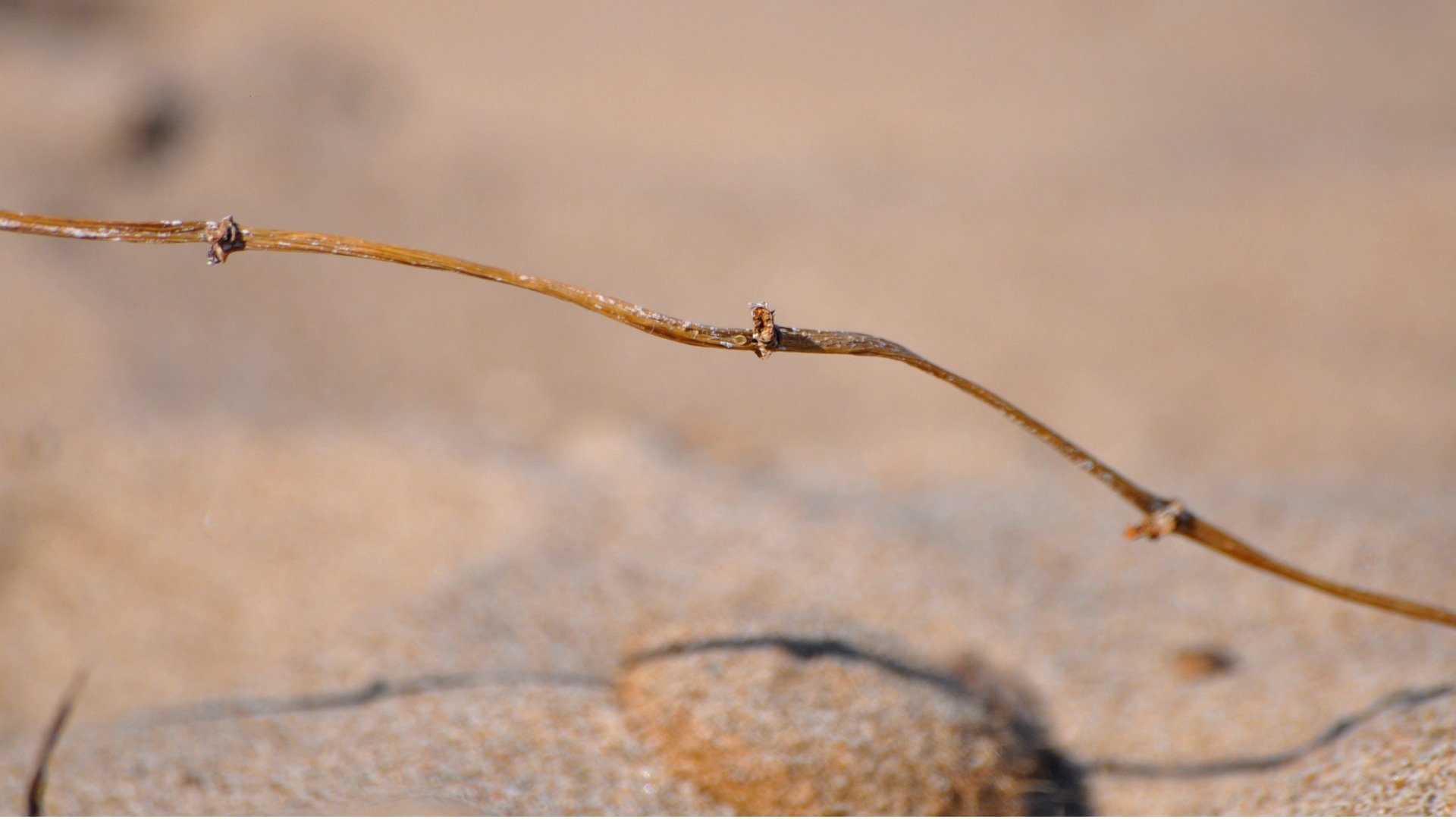 Fonds d'cran Nature Roches - Pierres - Sables 