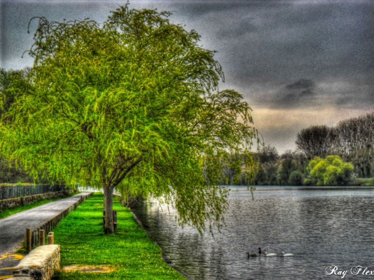 Fonds d'cran Nature Lacs - Etangs quietude