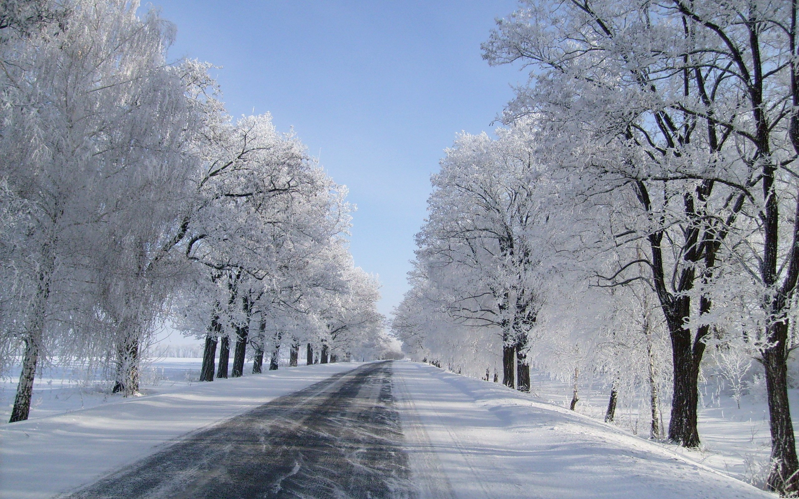 Fonds d'cran Nature Saisons - Hiver 