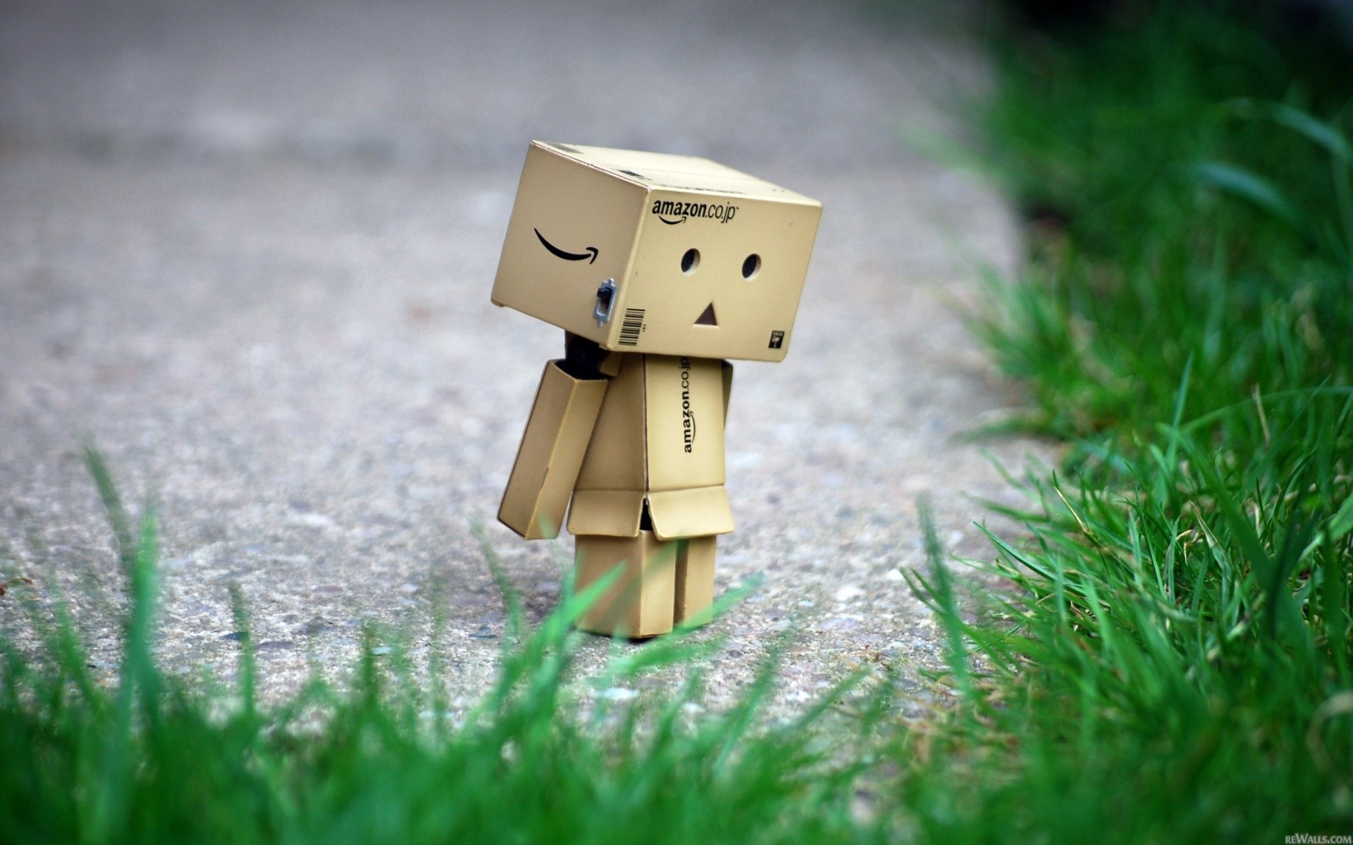 Fonds d'cran Objets Danbo Danbo powa !