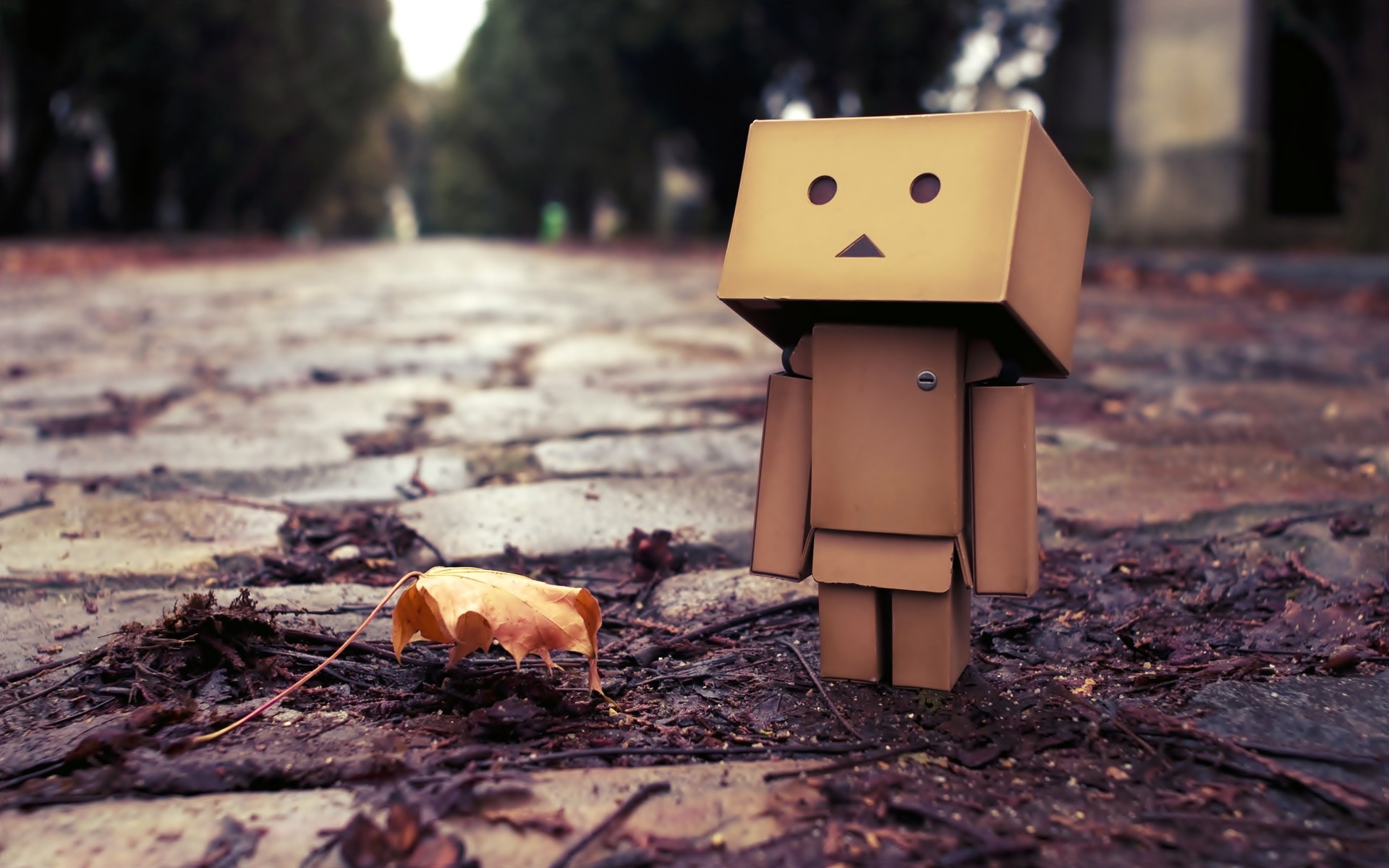 Wallpapers Objects Danbo Danbo powa !