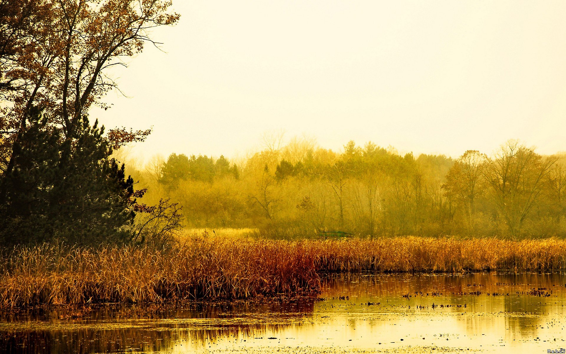 Fonds d'cran Nature Lacs - Etangs 