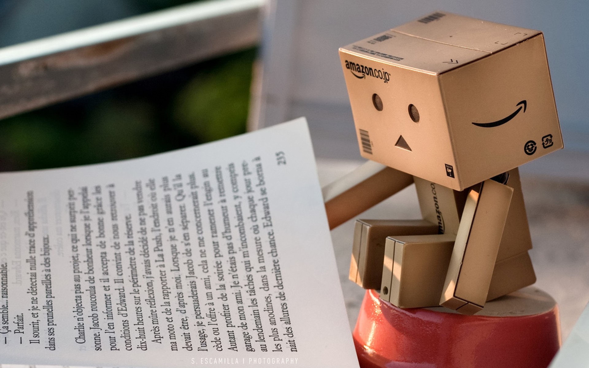 Wallpapers Objects Danbo Danbo powa !