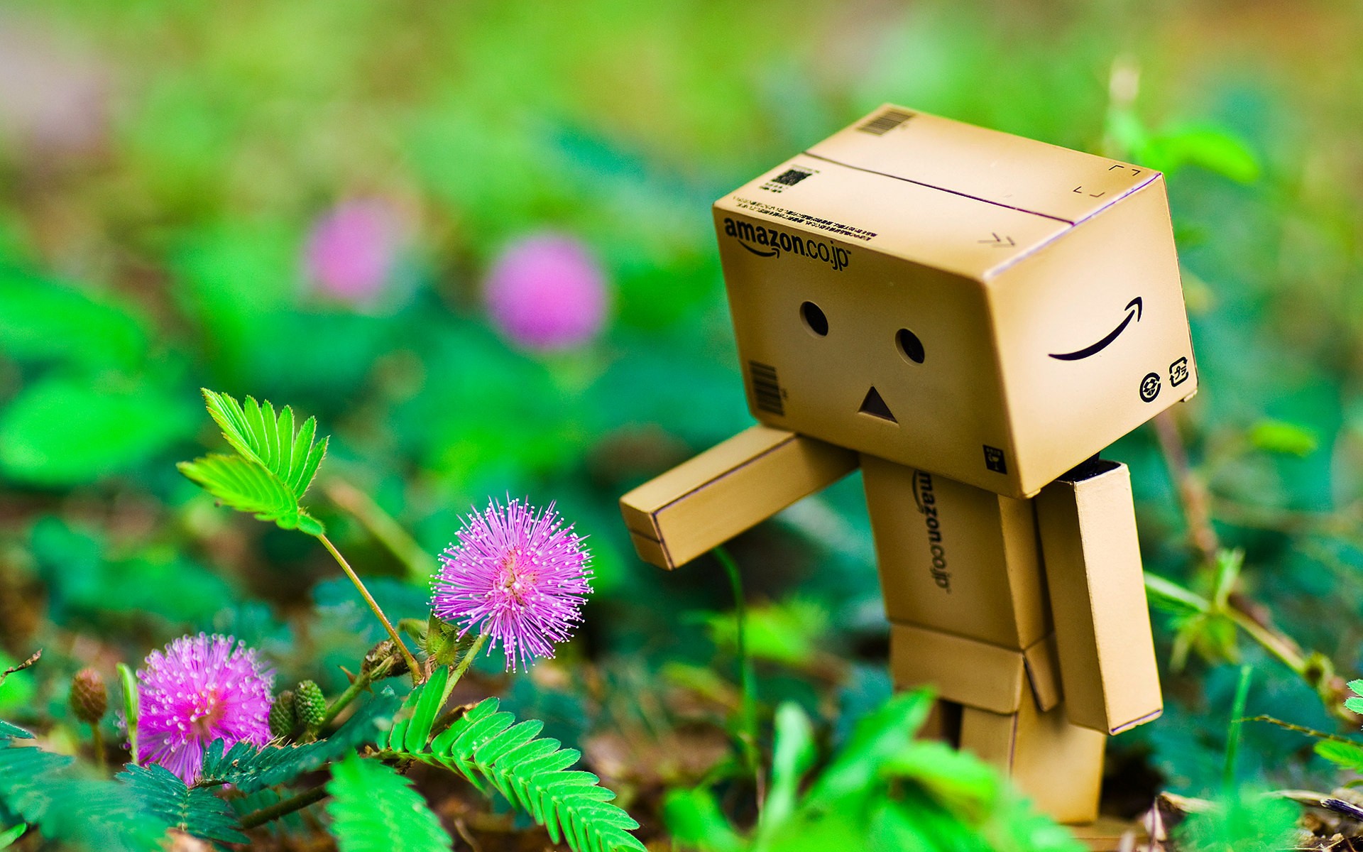 Fonds d'cran Objets Danbo Danbo powa !