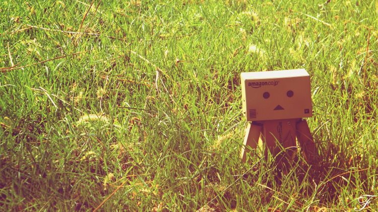 Wallpapers Objects Danbo Danbo powa !