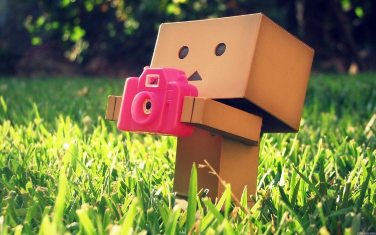 Wallpapers Objects Danbo Danbo powa !