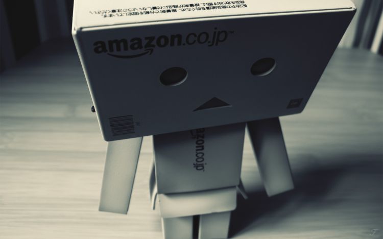 Wallpapers Objects Danbo Danbo powa !