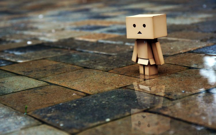 Wallpapers Objects Danbo Danbo powa !