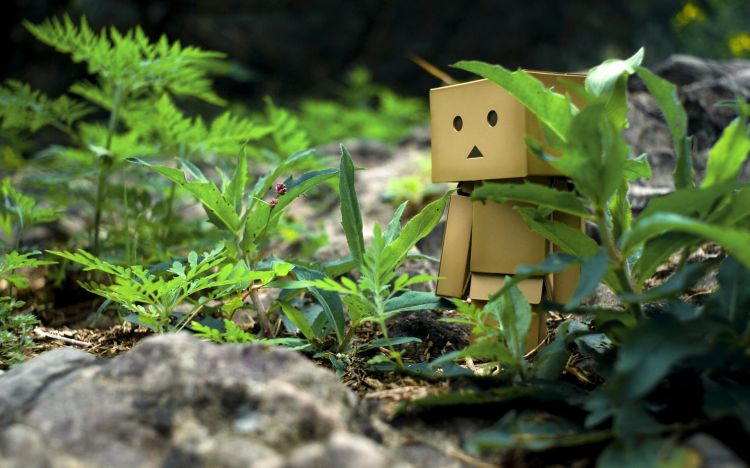 Wallpapers Objects Danbo Danbo powa !