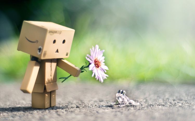 Fonds d'cran Objets Danbo Danbo powa !