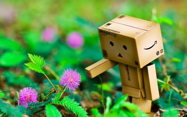 Fonds d'cran Objets Danbo Danbo powa !