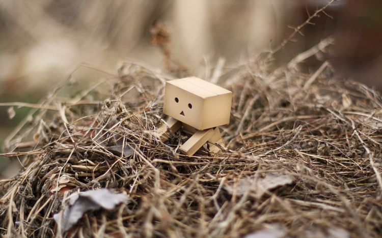 Fonds d'cran Objets Danbo Danbo powa !