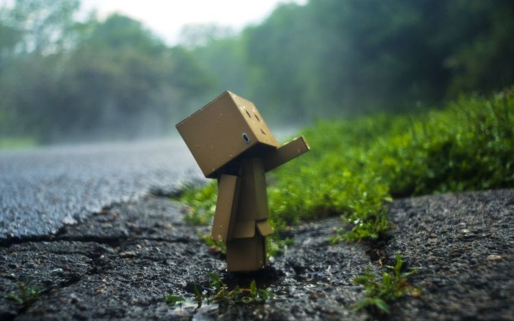 Wallpapers Objects Danbo Danbo powa !