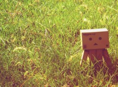  Objects Danbo powa !