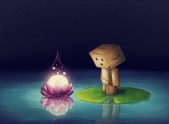  Objets Danbo powa !