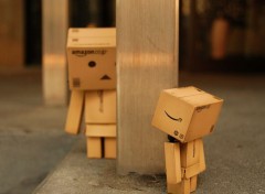  Objects Danbo powa !