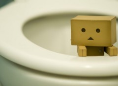  Objets Danbo powa !