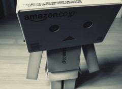  Objects Danbo powa !