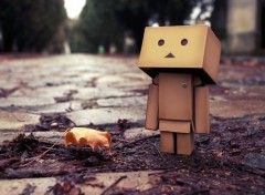  Objects Danbo powa !