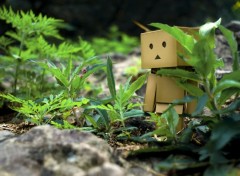  Objects Danbo powa !