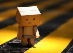  Objects Danbo powa !