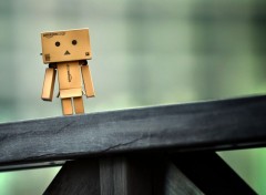  Objects Danbo powa !