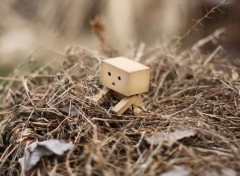  Objets Danbo powa !