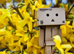  Objects Danbo powa !