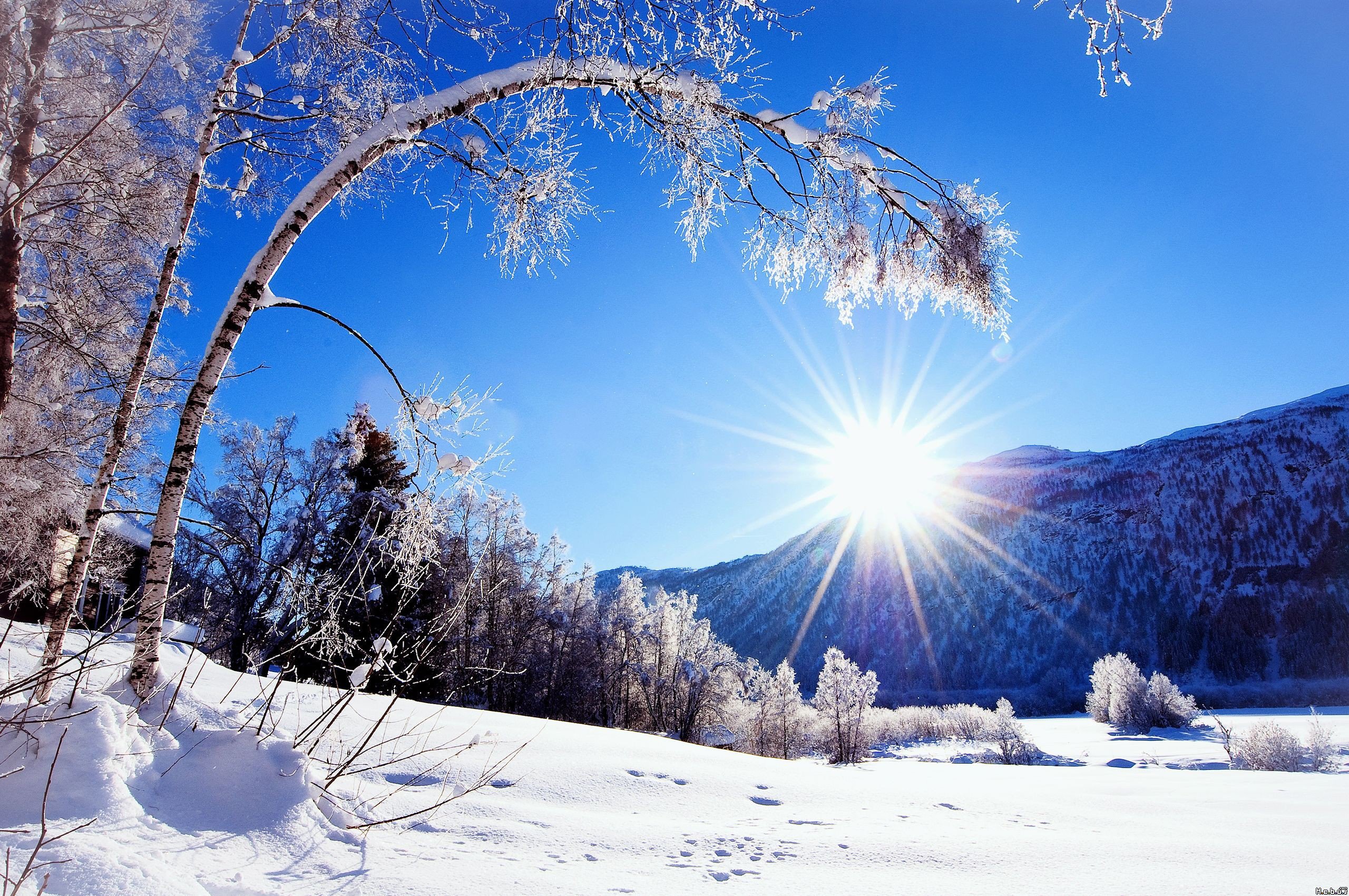 Fonds d'cran Nature Saisons - Hiver 