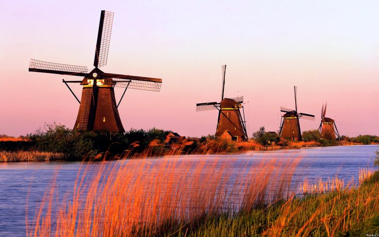 Wallpapers Constructions and architecture Windmills Wallpaper N295566