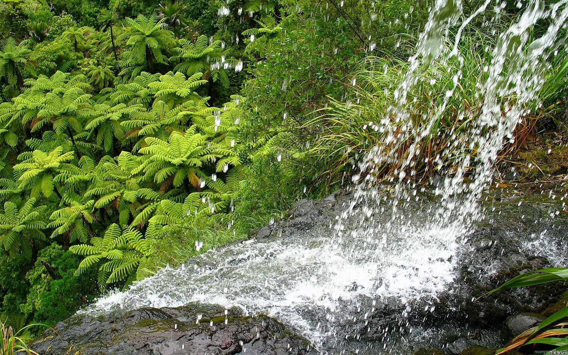 Fonds d'cran Nature Cascades - Chutes 