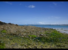  Nature Baie de St Malo