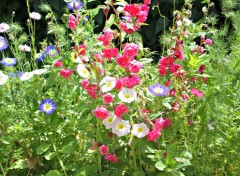  Nature bouquet floral