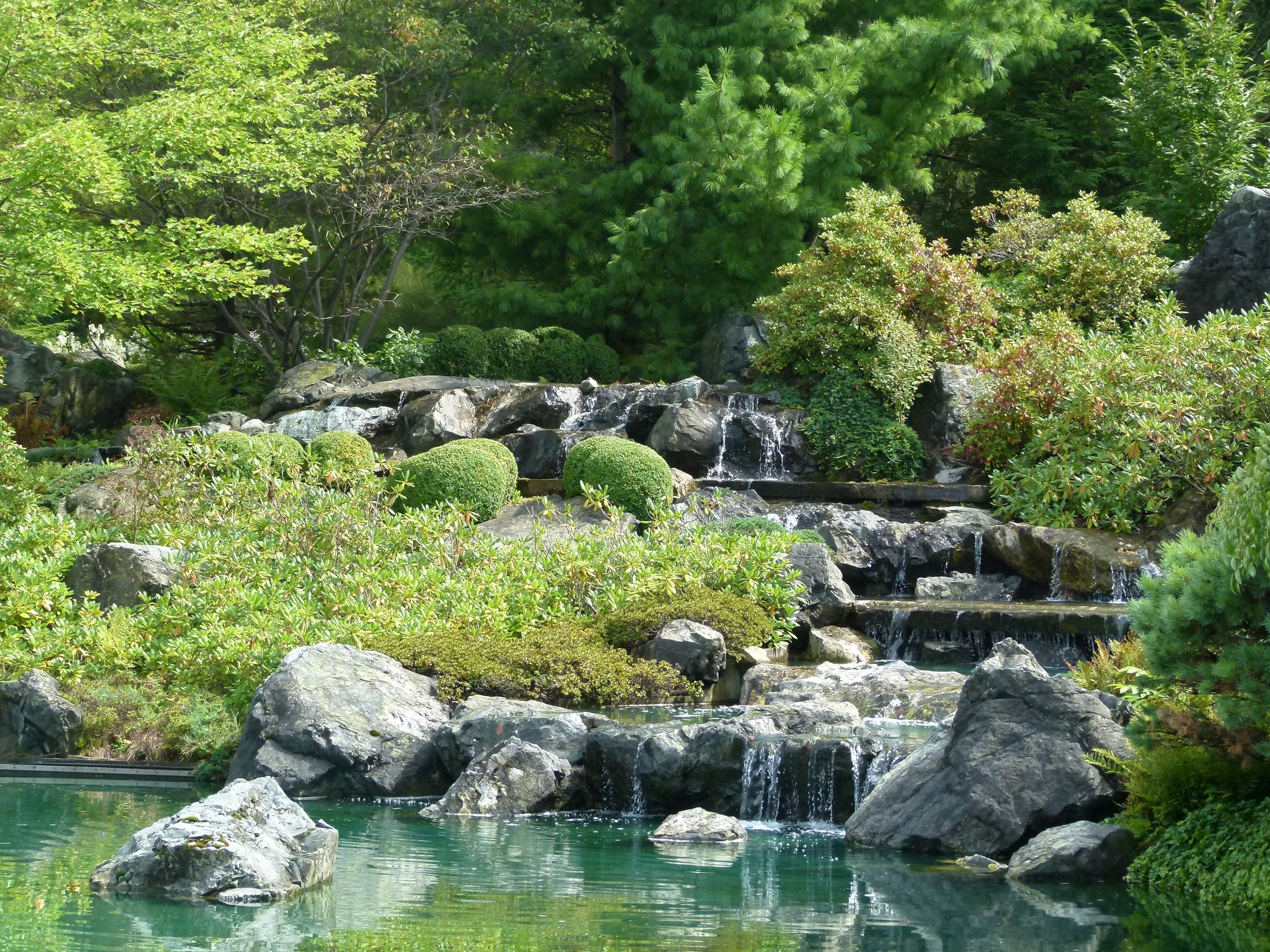 Wallpapers Nature Parks - Gardens Jardin Botanique de Montral