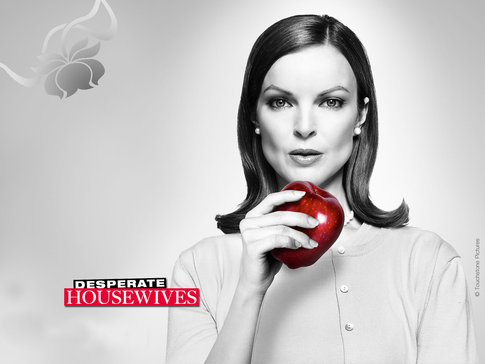 Wallpapers TV Soaps Desperate Housewives 