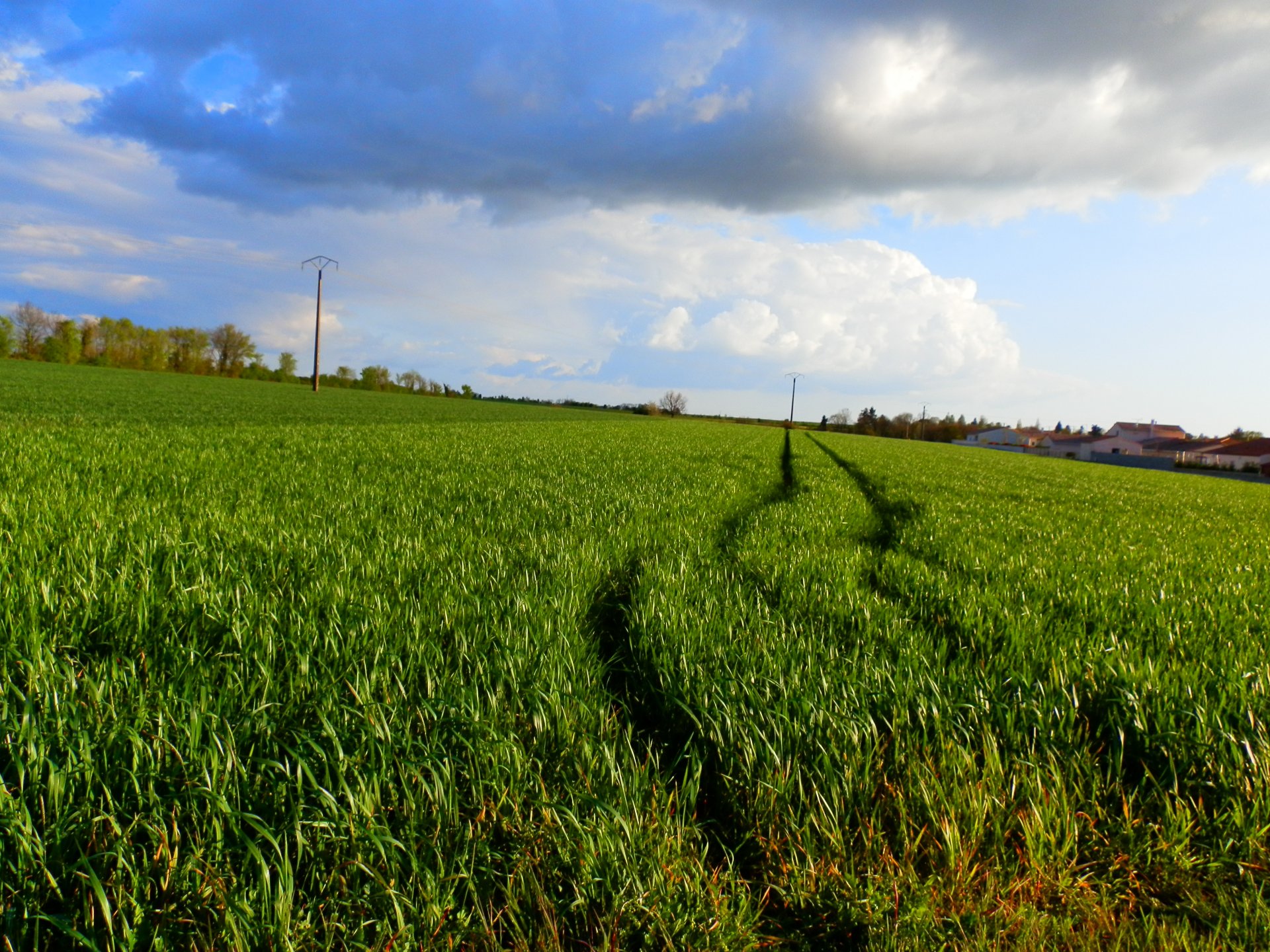 Wallpapers Nature Fields Campagne