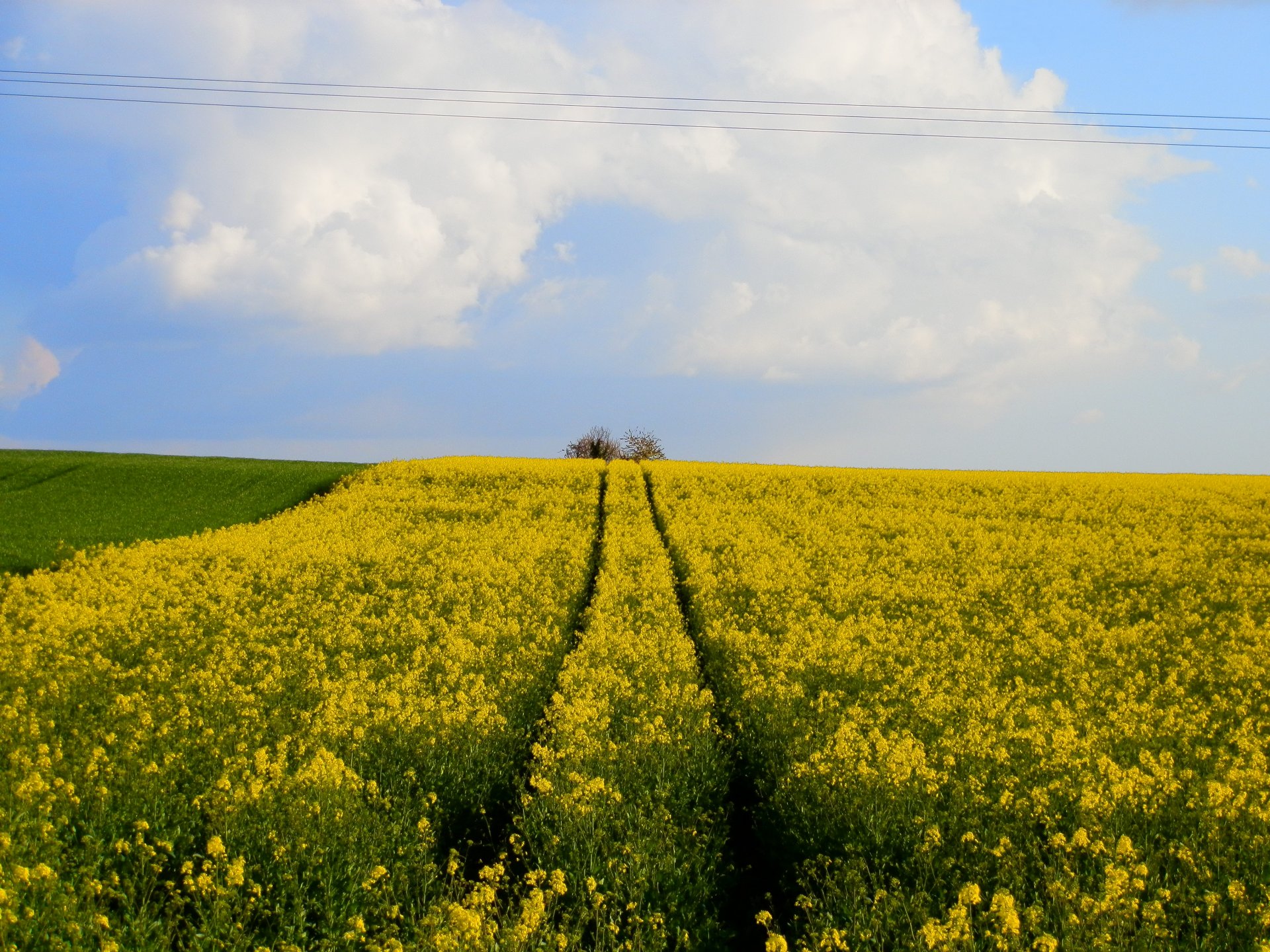 Fonds d'cran Nature Champs - Prairies Campagne