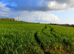  Nature Campagne