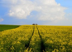  Nature Campagne