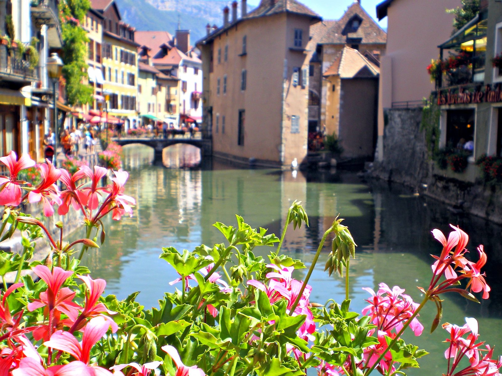 Wallpapers Nature Flowers vue sur Annecy