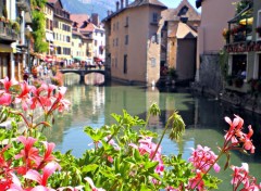  Nature vue sur Annecy