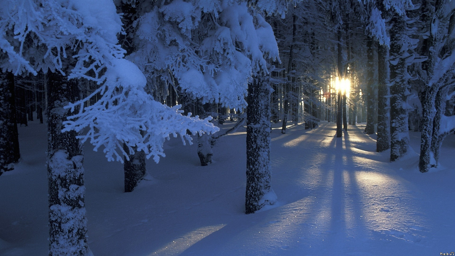 Fonds d'cran Nature Saisons - Hiver 