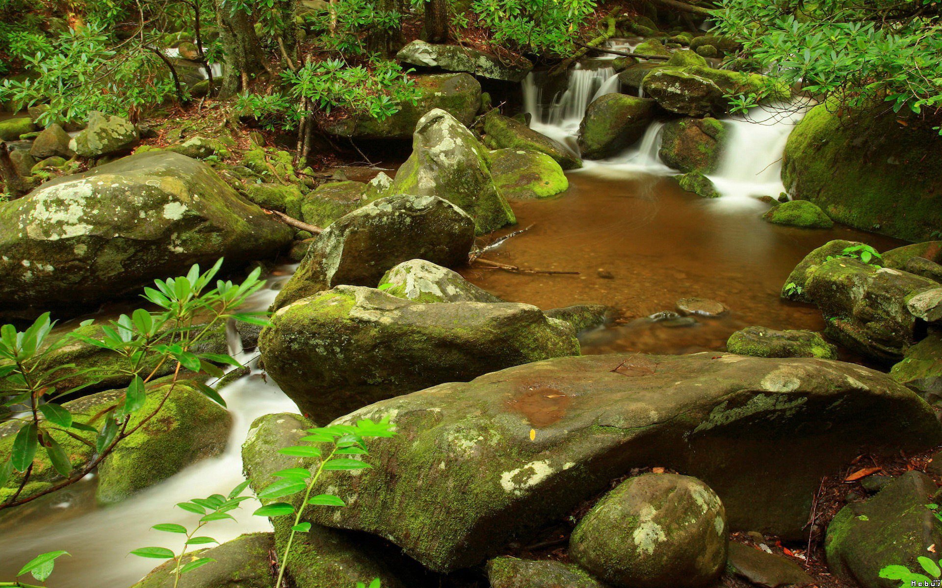 Fonds d'cran Nature Fleuves - Rivires - Torrents 